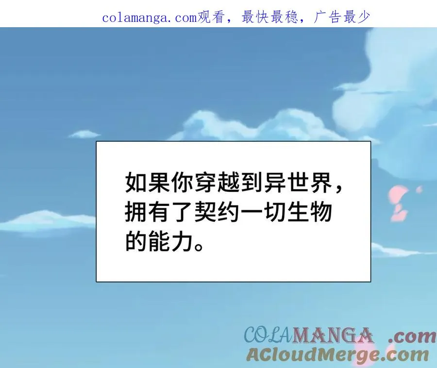 我契约了我自己