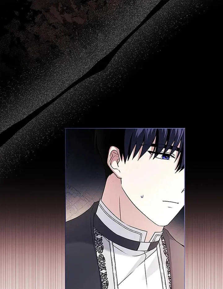 第231页