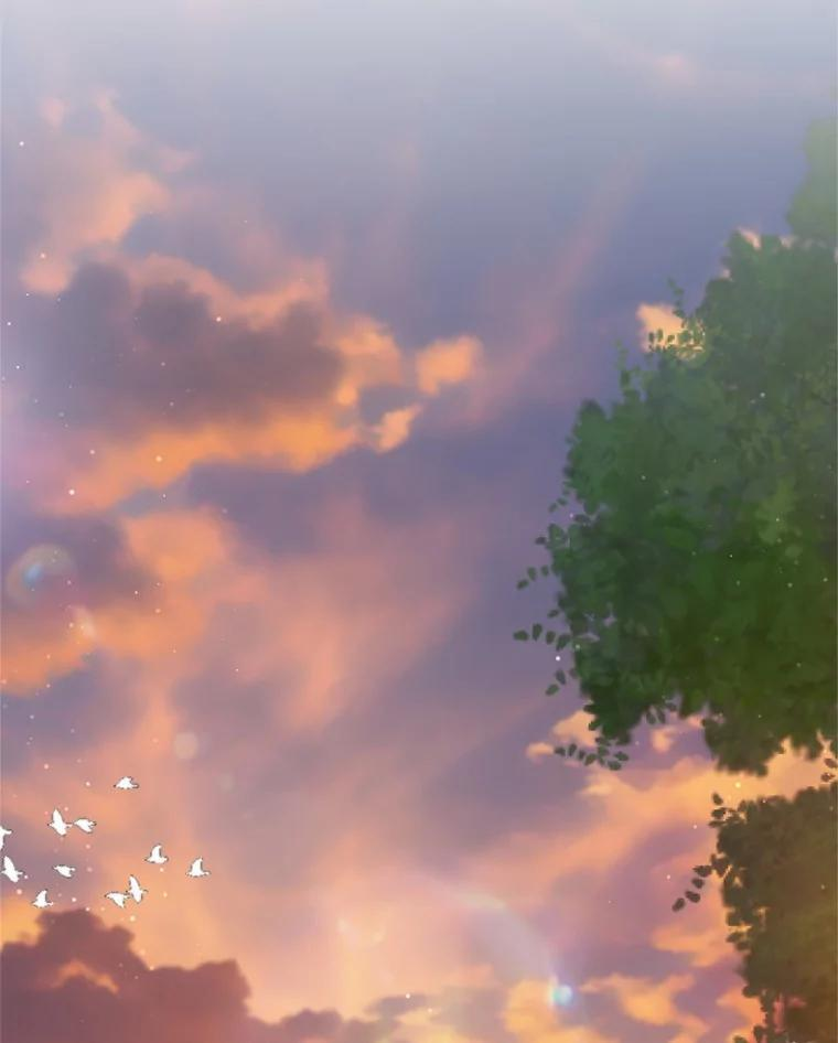 第270页
