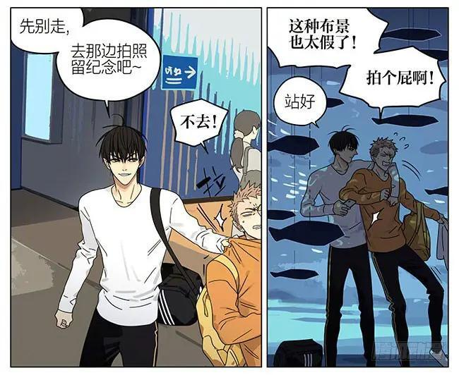 第228页