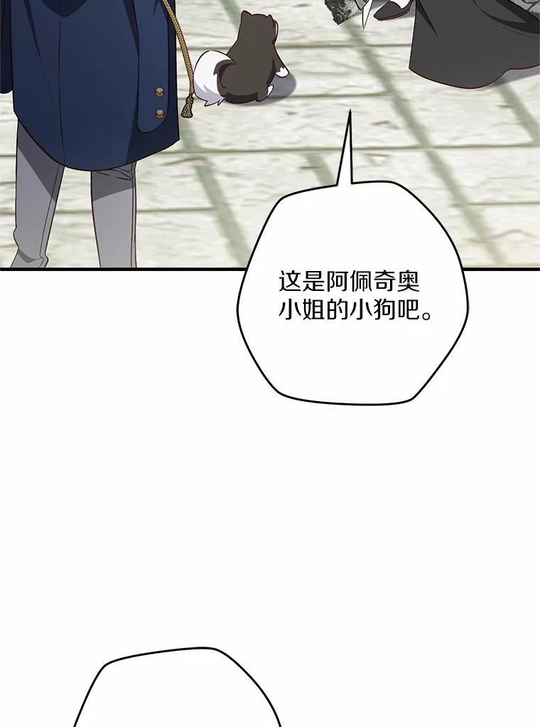 第231页