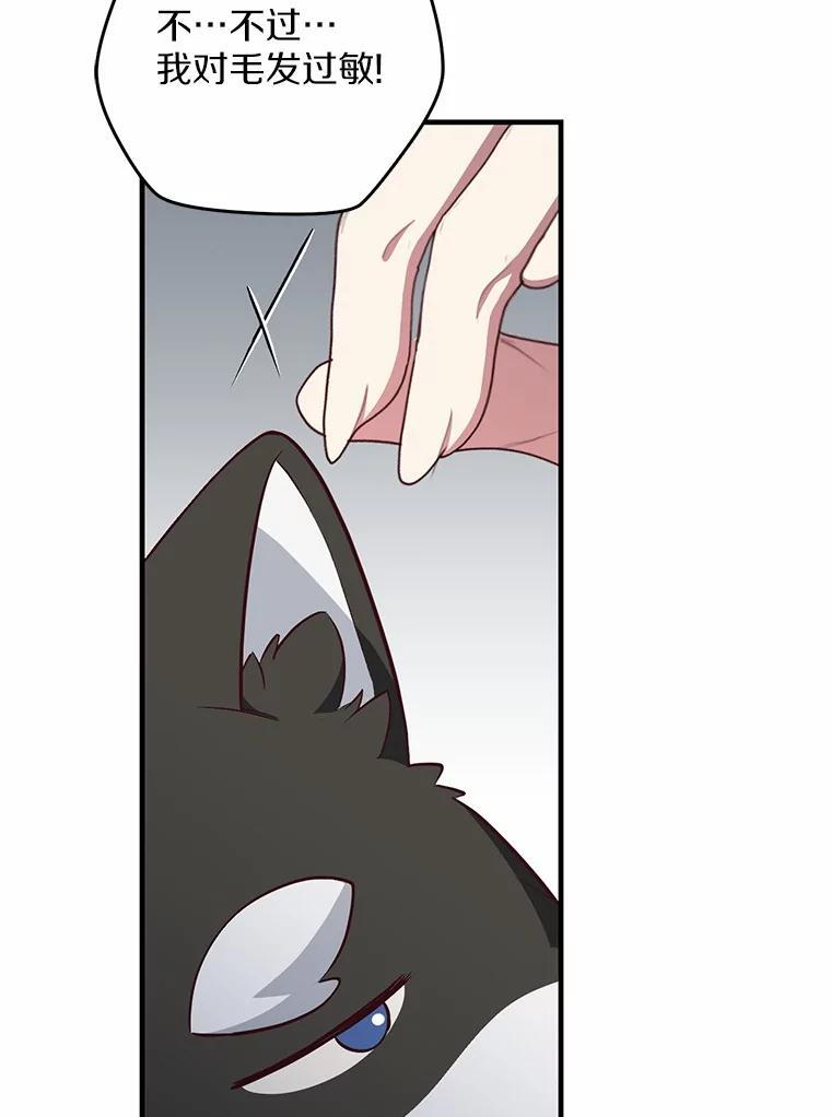 第234页