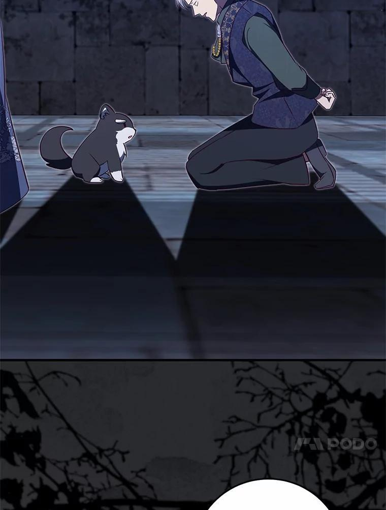 第255页