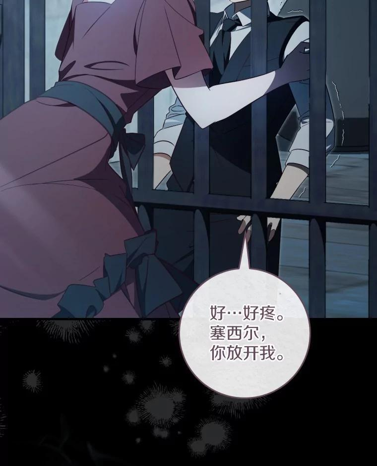 第204页