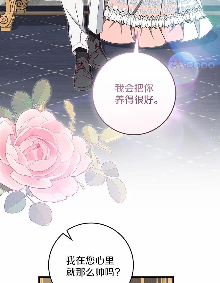 第231页