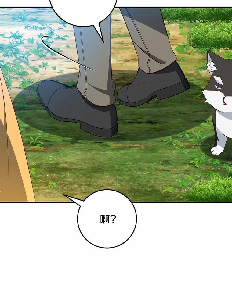 第336页