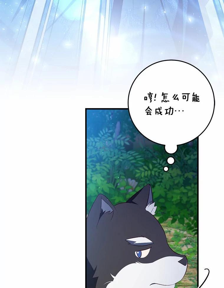 第222页