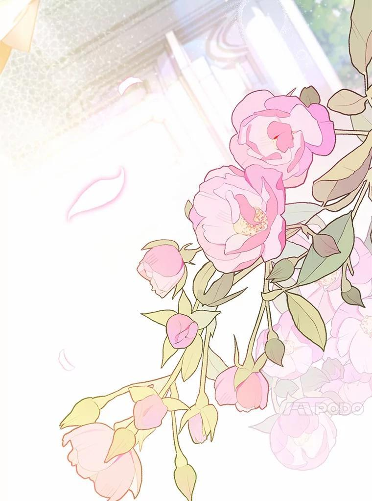 第246页