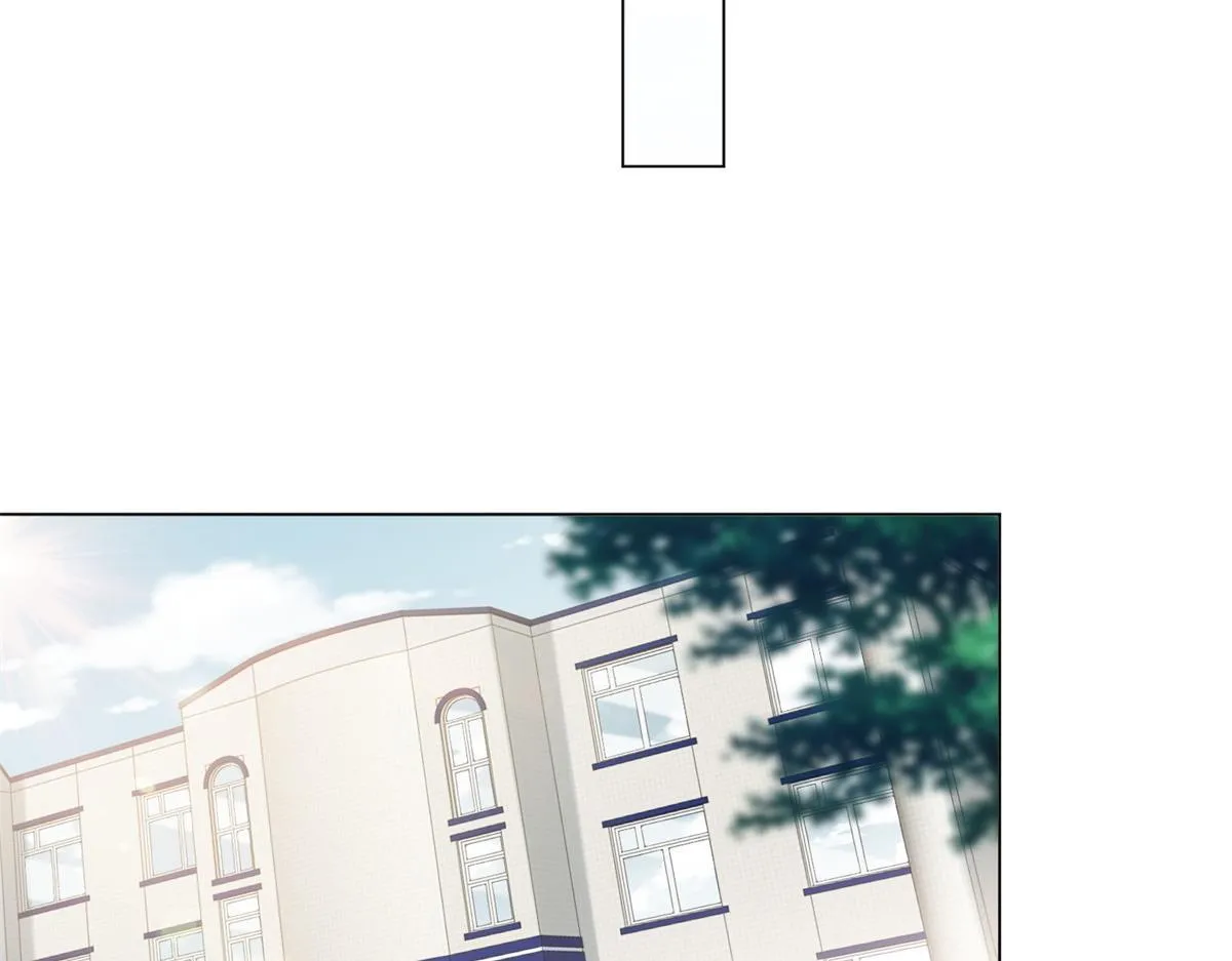 第339页