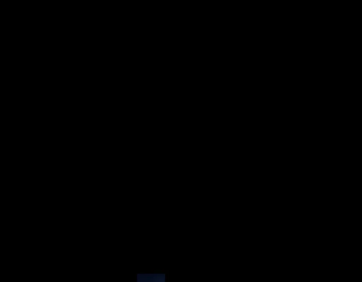 第321页