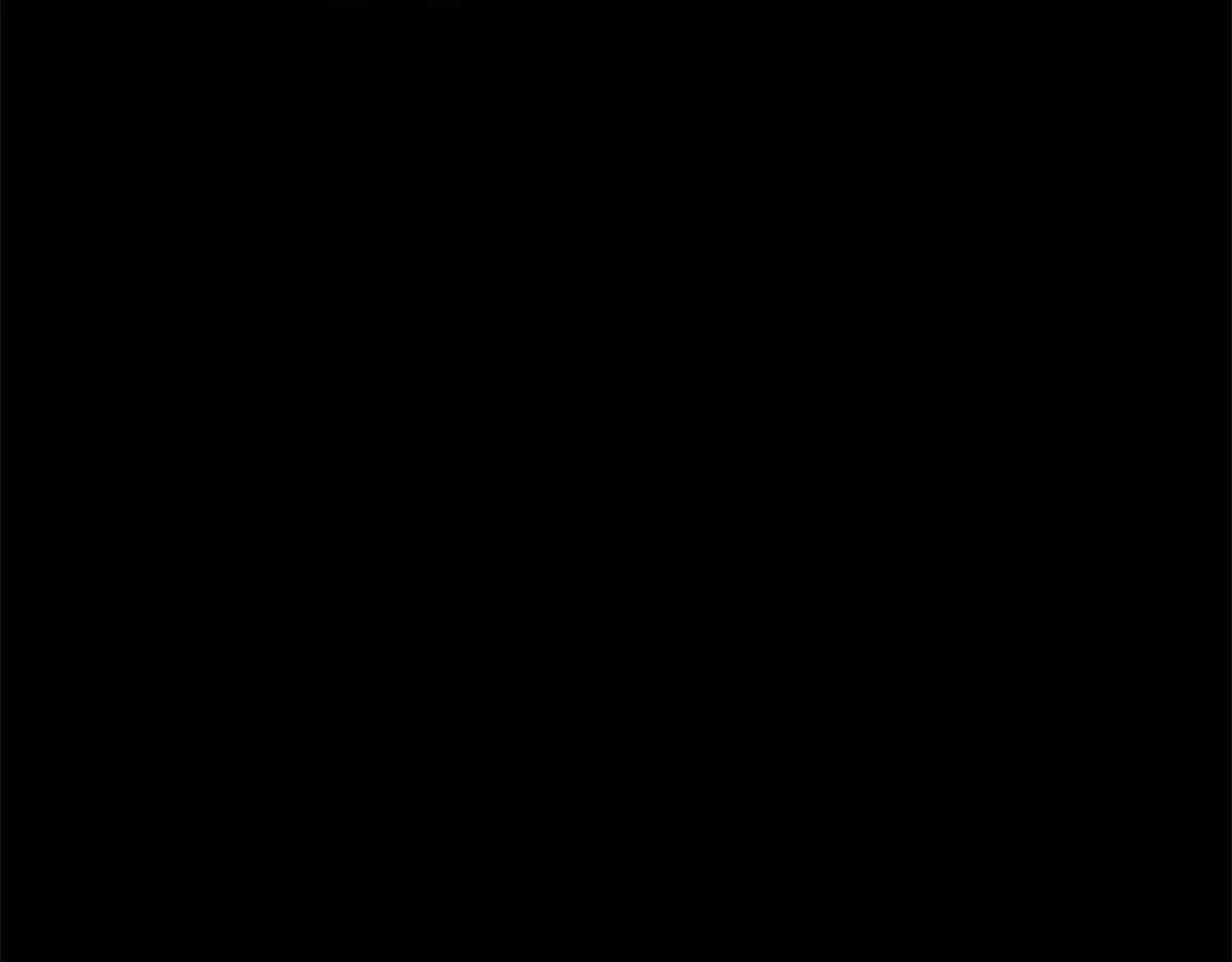 第228页