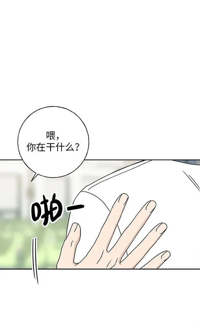第225页