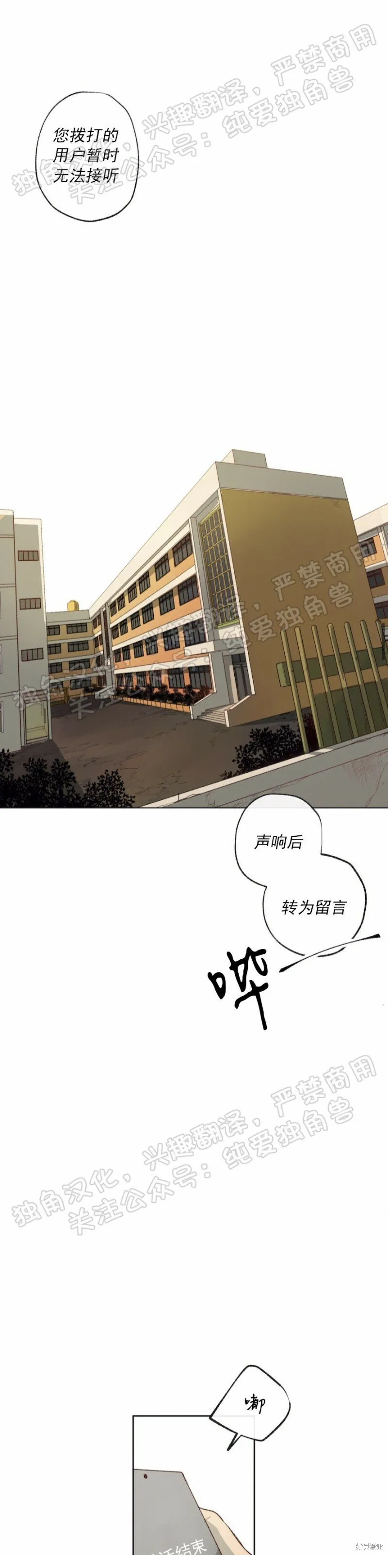 同情的形态