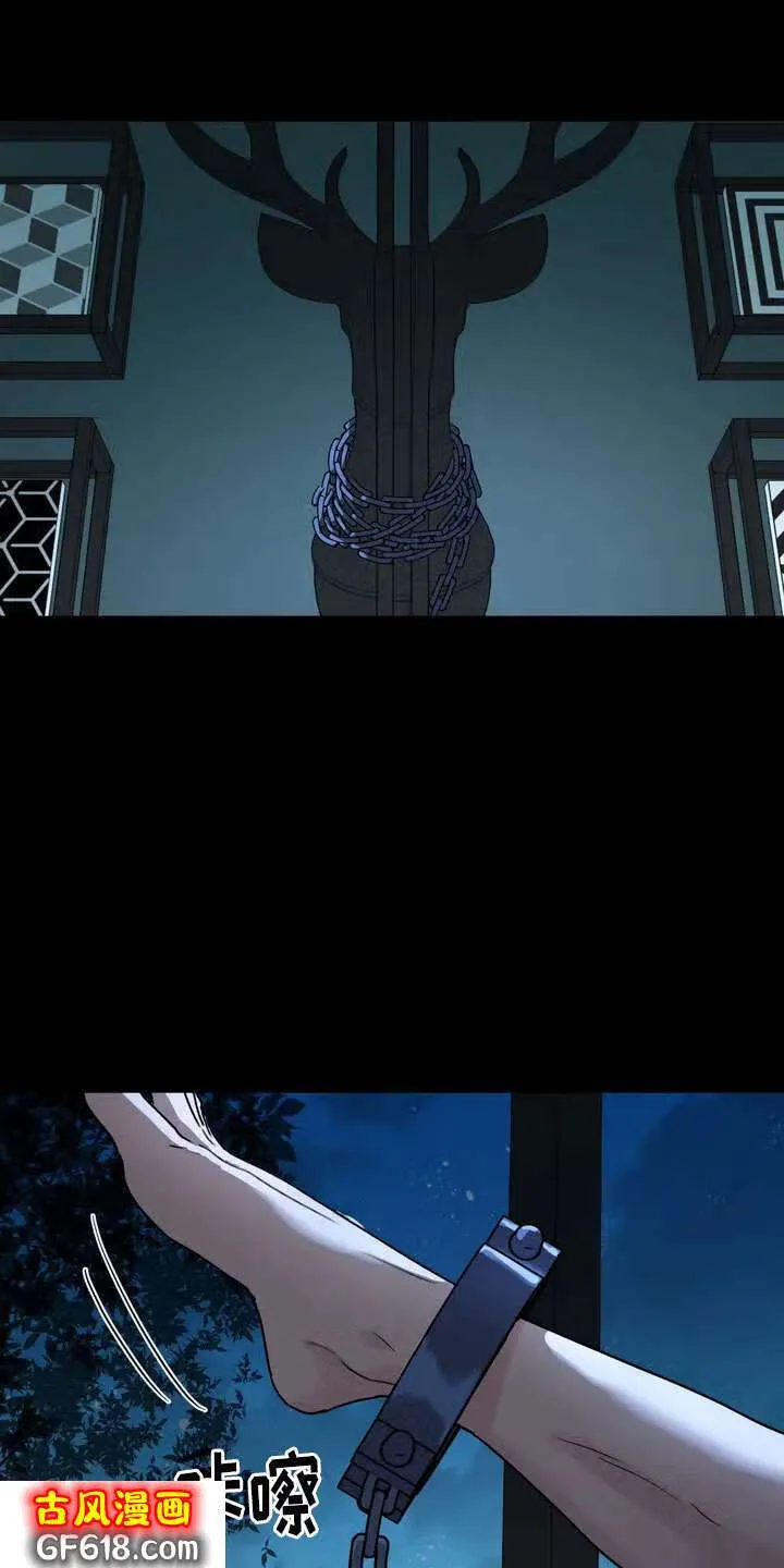 无根之树