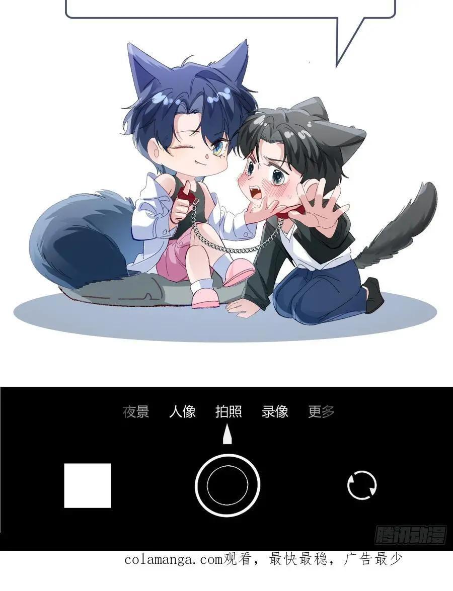 第219页