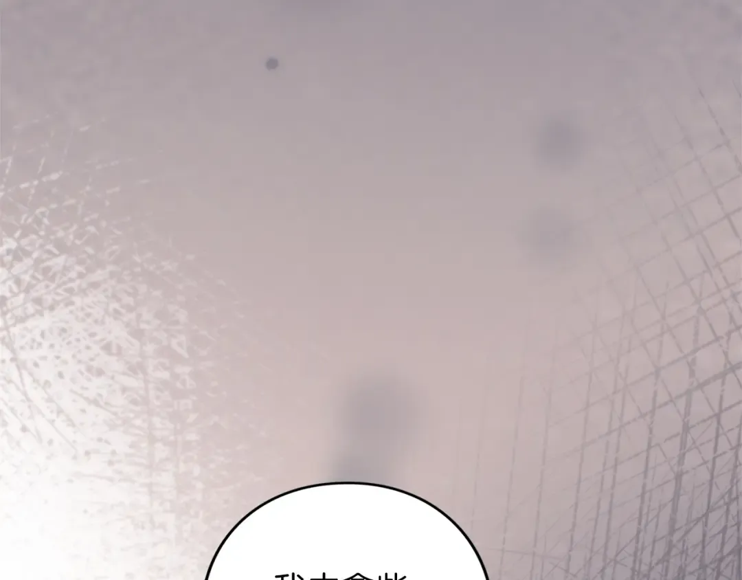 第567页